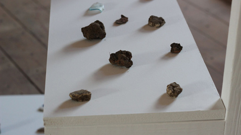 rocks