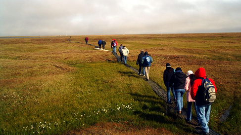 Tundra path with walkers in single file