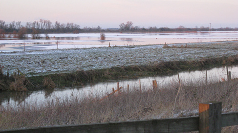 Wellney marshes 