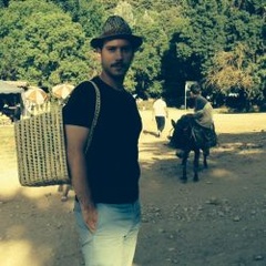 Professor Grégory  Delaplace