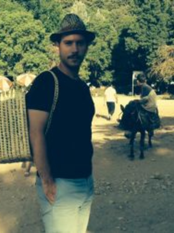 Professor Grégory  Delaplace