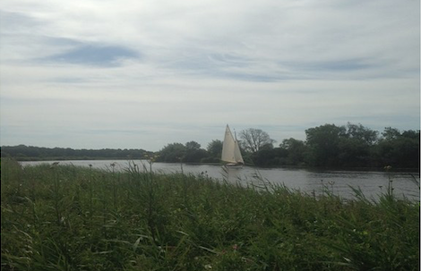 A boat on the Broads