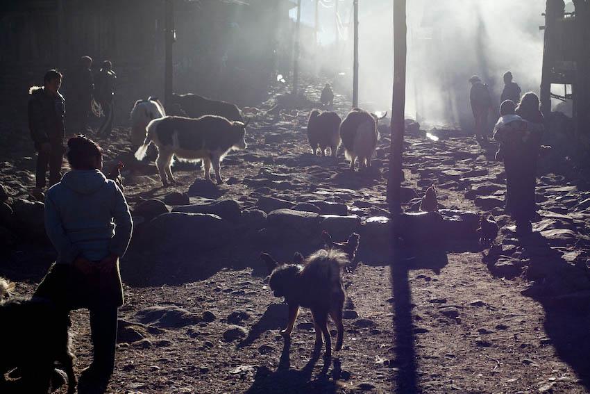 Walung, Eastern Nepal, © Martin Saxer, 2012