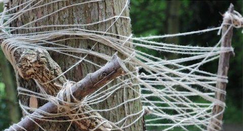 Rope sculptures in the woods